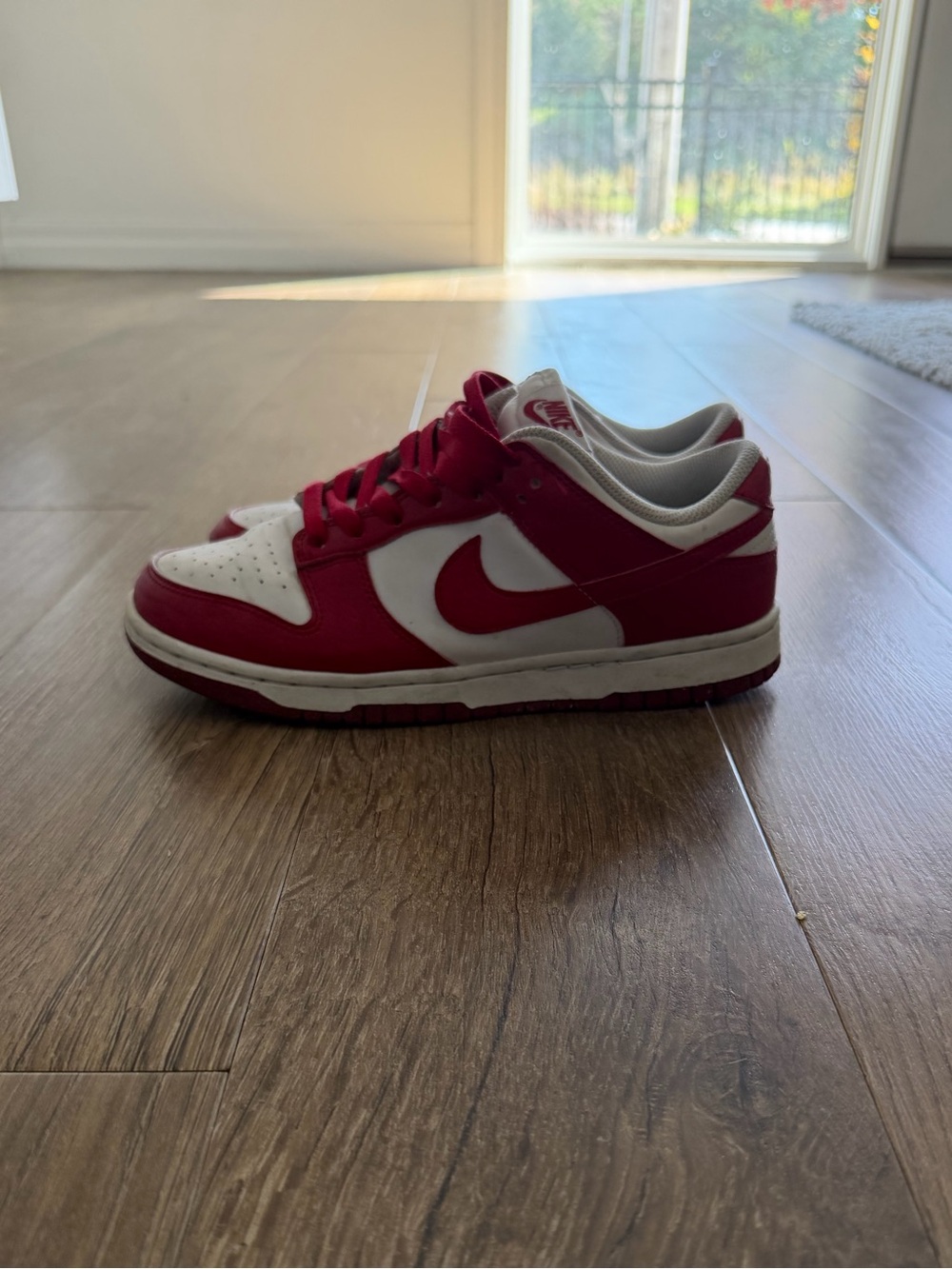 Nike Dunks' Womenâs Low-Top Skate Shoe - Red/White